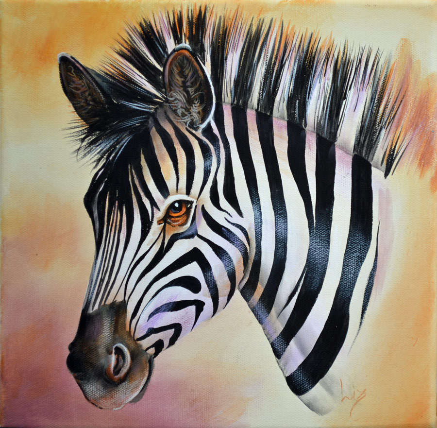 Zebra